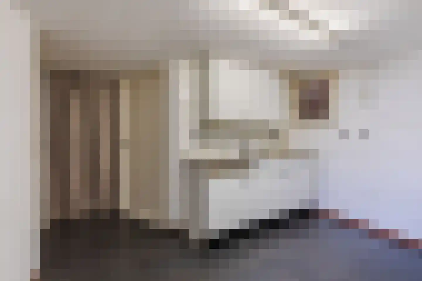 Abeelstraat 19 Echt thumbnail 28