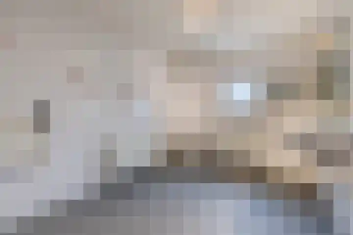 Abeelstraat 19 Echt thumbnail 4