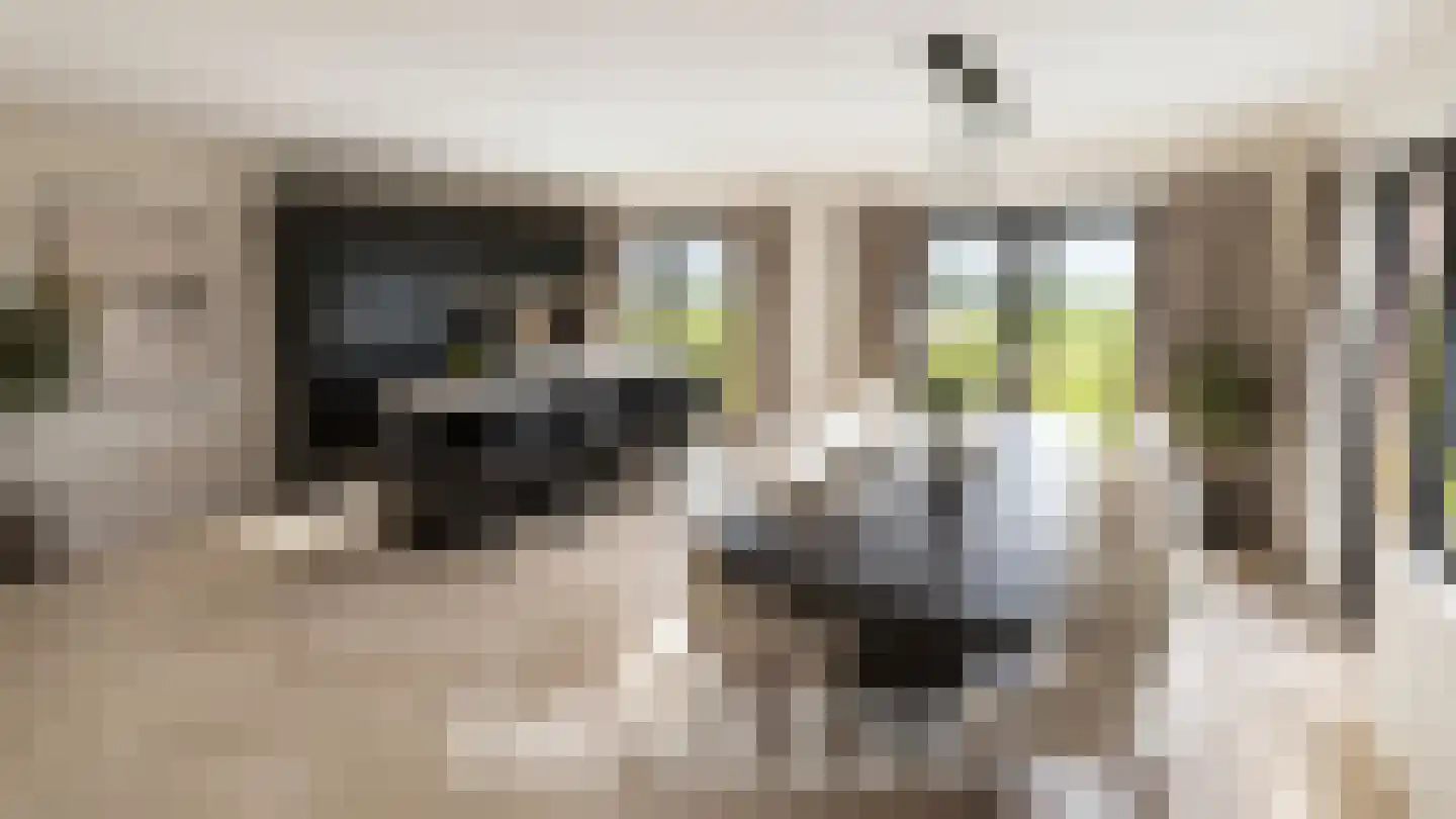 Abeelstraat 19 Echt thumbnail 4