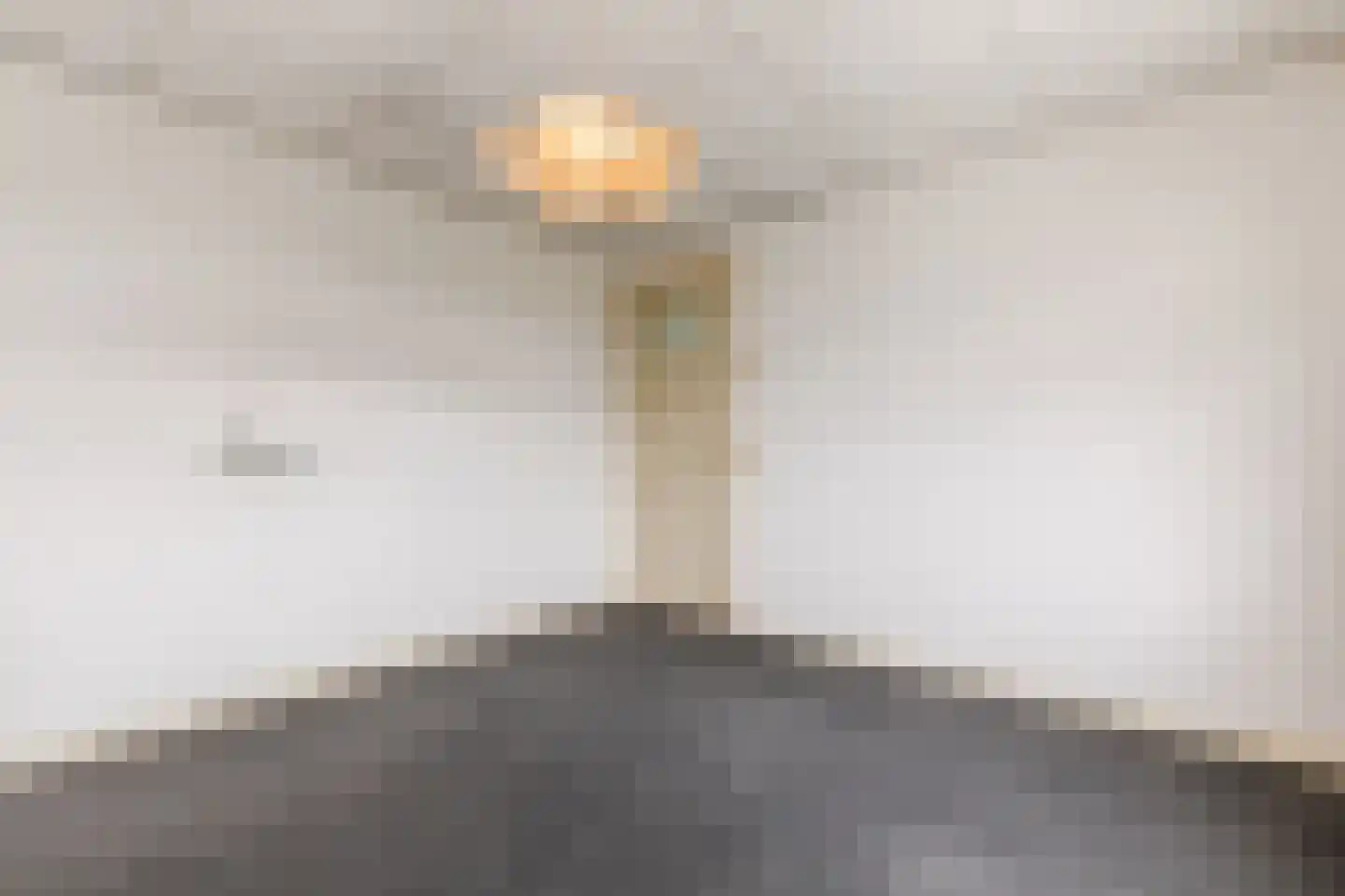 Abeelstraat 19 Echt thumbnail 47