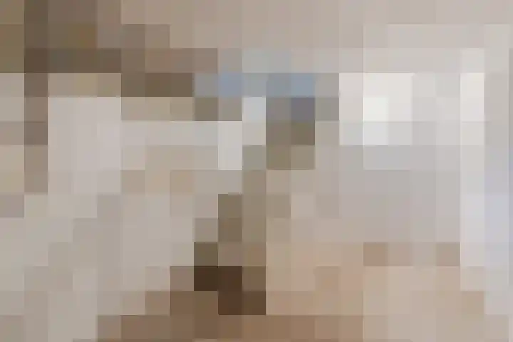 Abeelstraat 19 Echt thumbnail 49