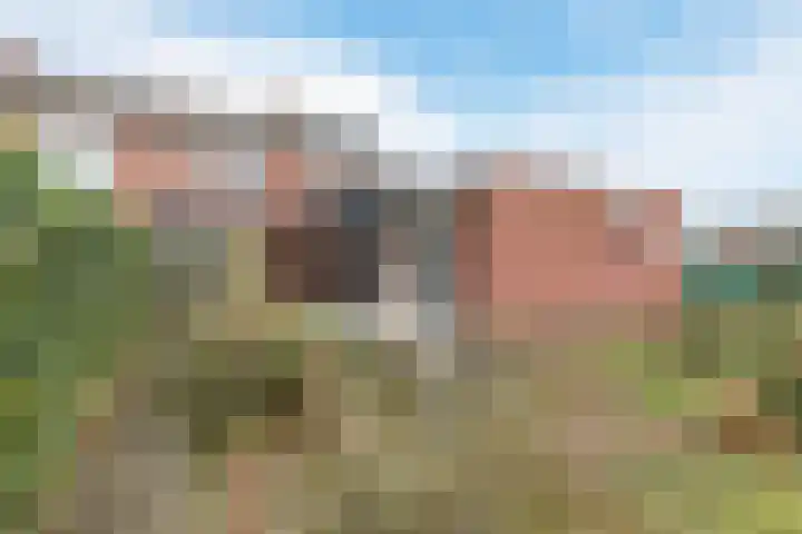 Abeelstraat 19 Echt thumbnail 5