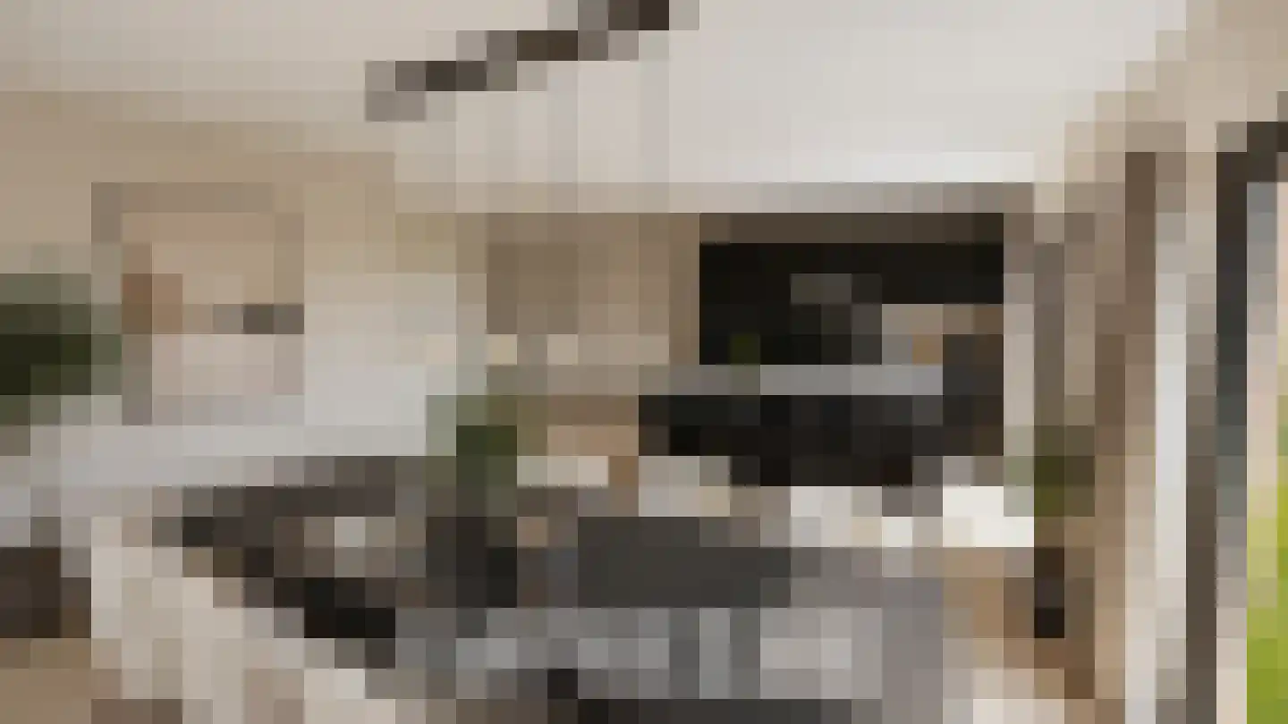 Abeelstraat 19 Echt thumbnail 5