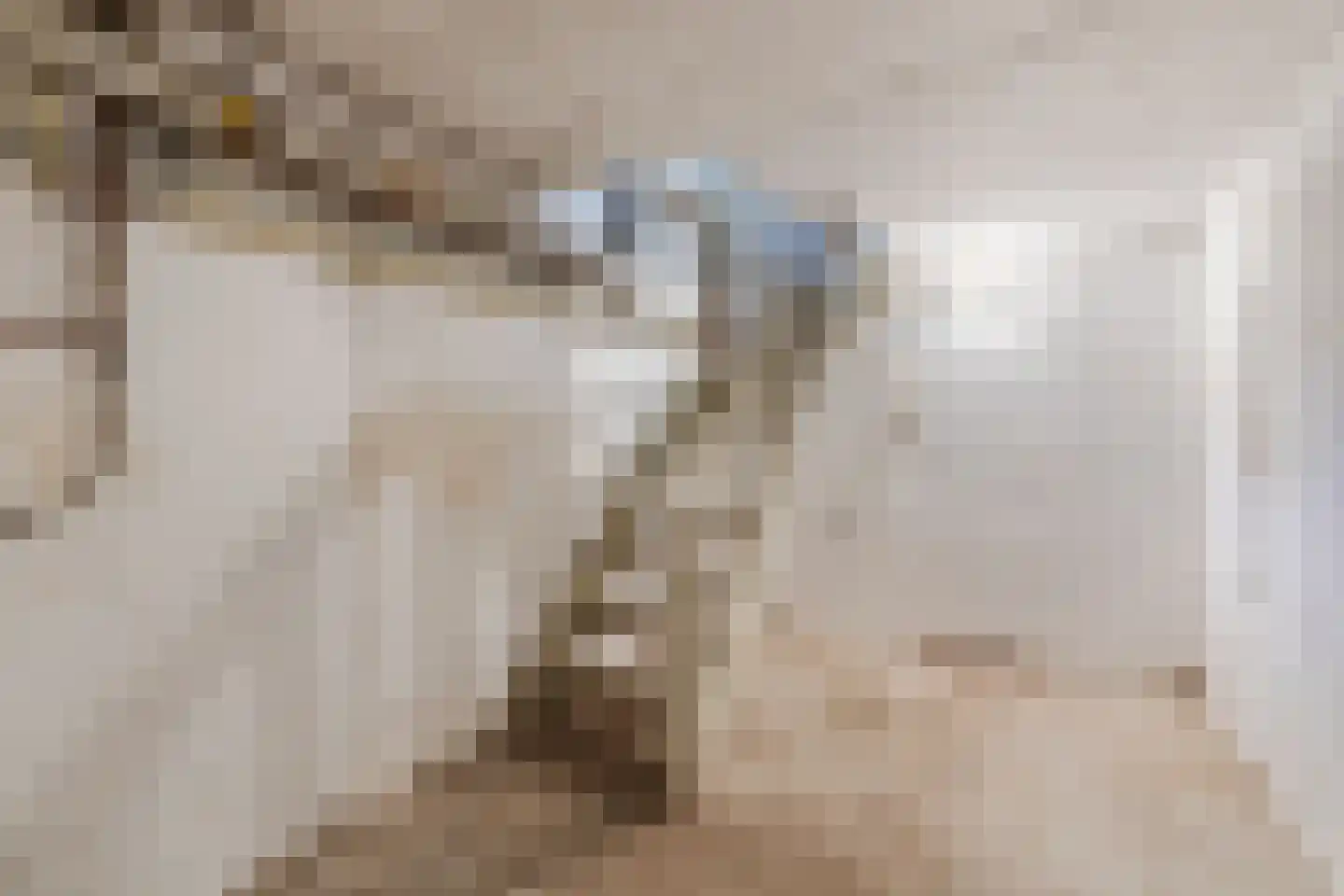 Abeelstraat 19 Echt thumbnail 55