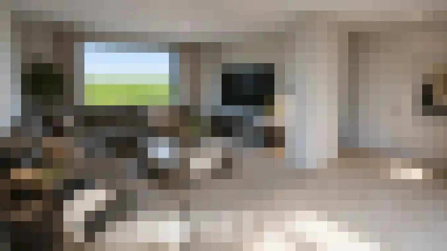 Abeelstraat 19 Echt thumbnail 6
