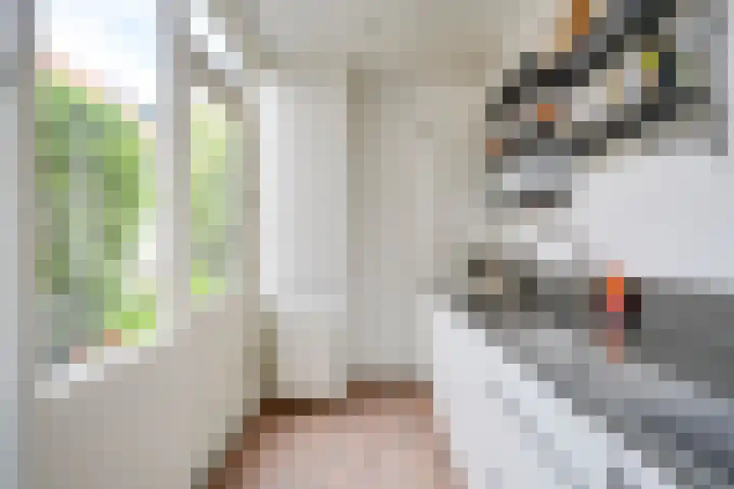 Abeelstraat 19 Utrecht thumbnail 19