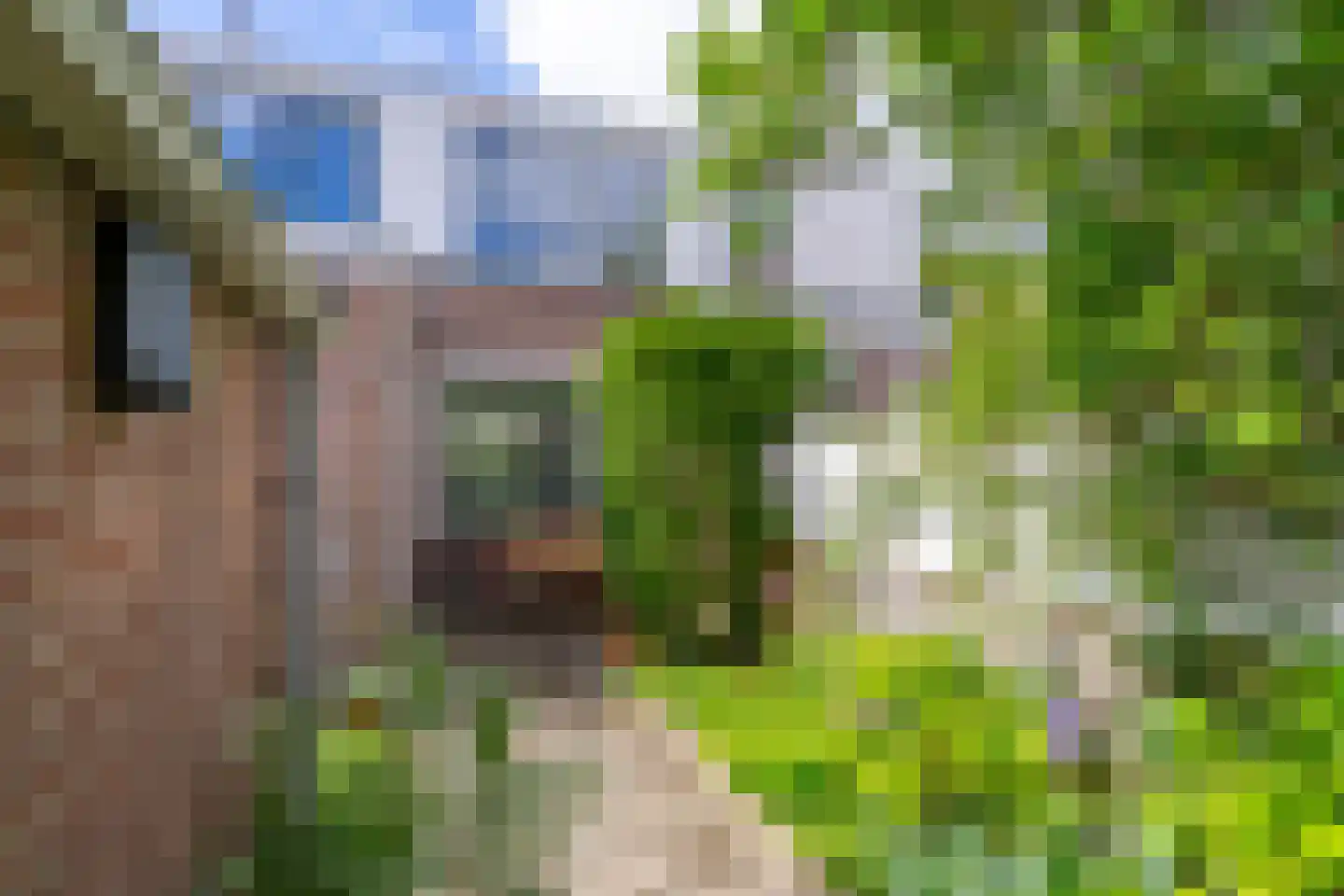 Abeelstraat 19 Utrecht thumbnail 22