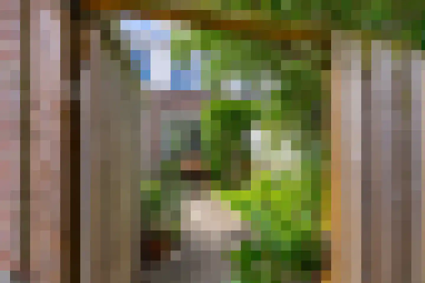 Abeelstraat 19 Utrecht thumbnail 25