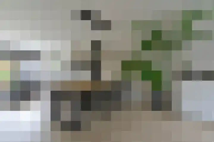 Abeelstraat 24 Ter Aar thumbnail 10
