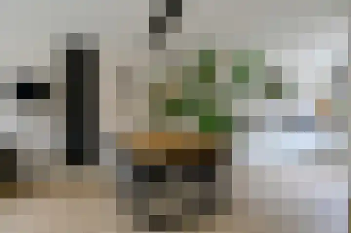 Abeelstraat 24 Ter Aar thumbnail 11