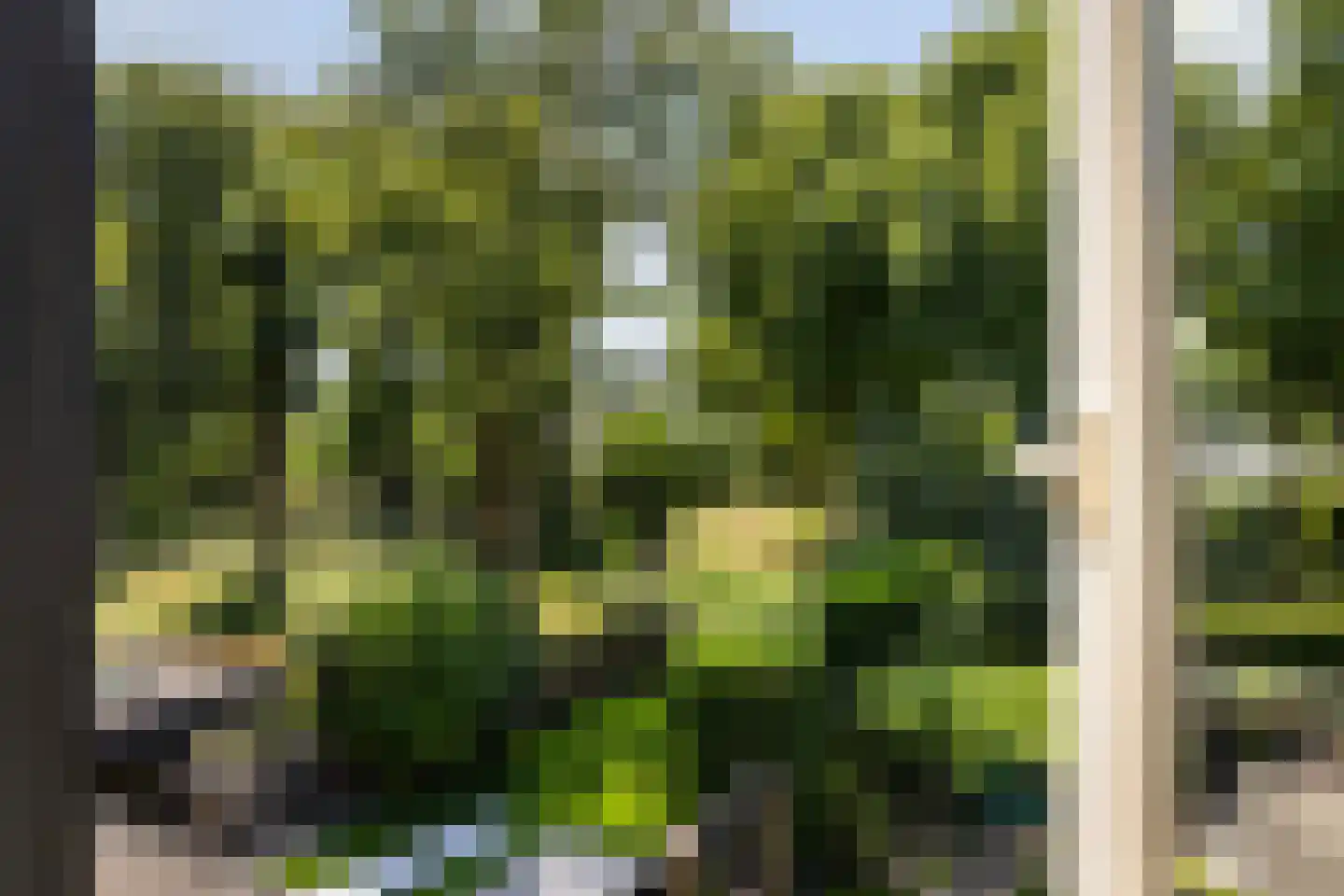 Abeelstraat 25 Dordrecht thumbnail 31