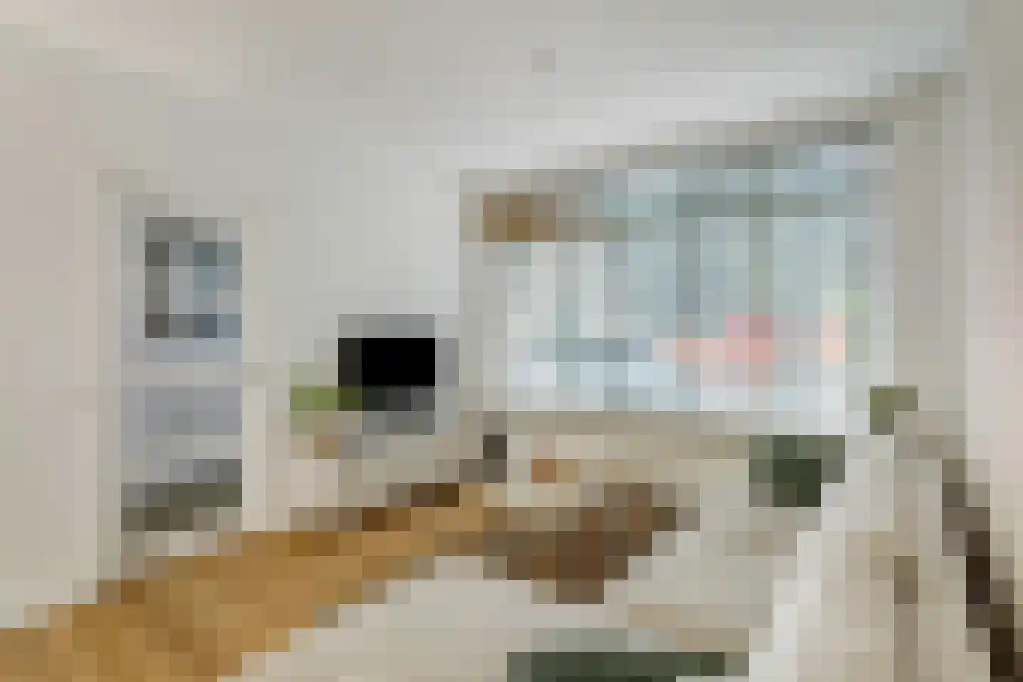 Abeelstraat 29 Breda thumbnail 5