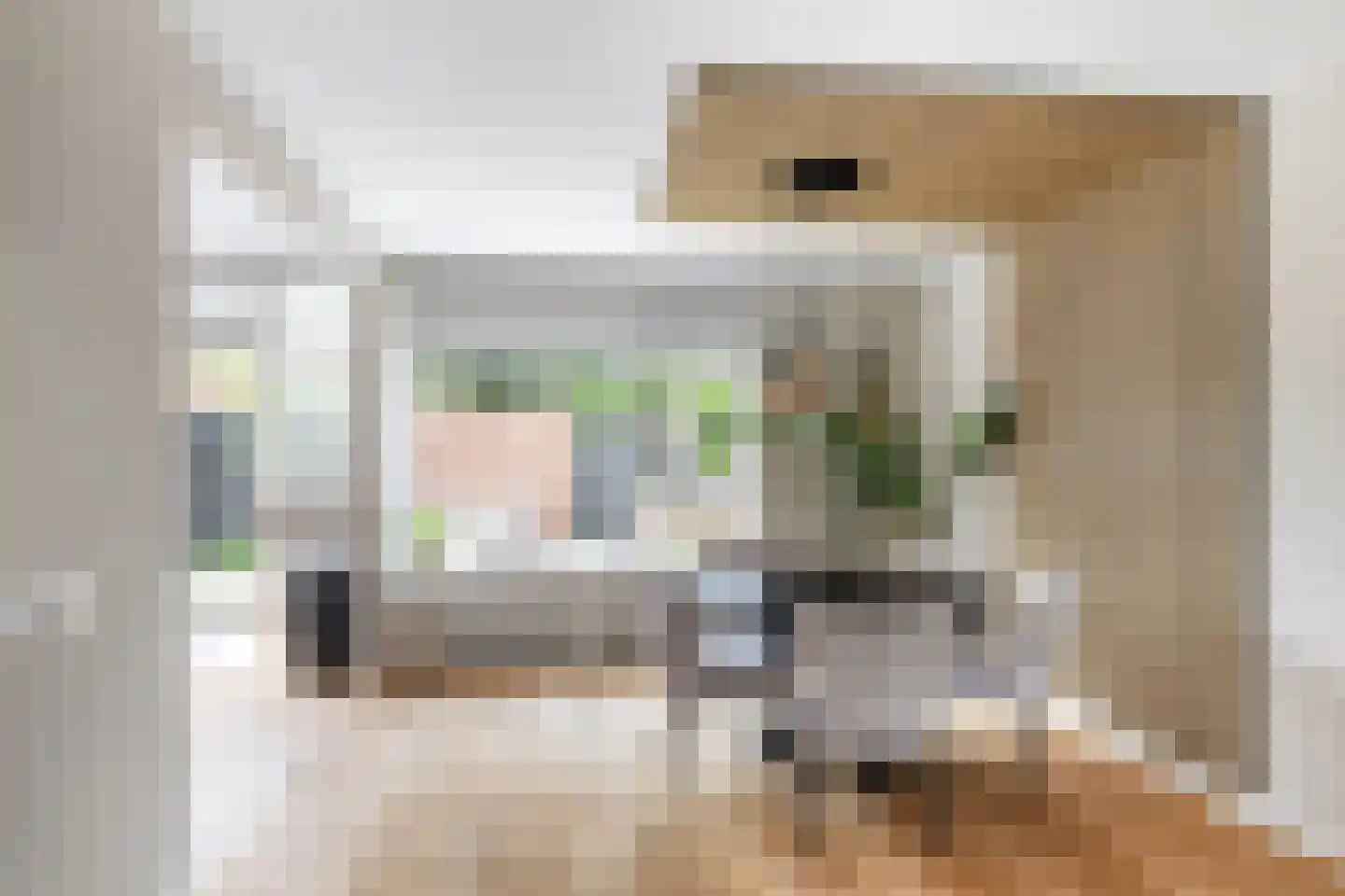 Abeelstraat 32 's-Gravenzande thumbnail 8