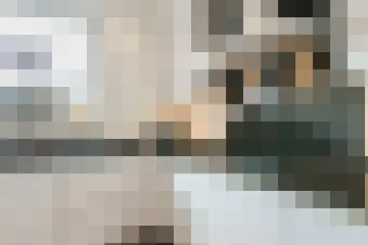 Abeelstraat 33 Echt thumbnail 12