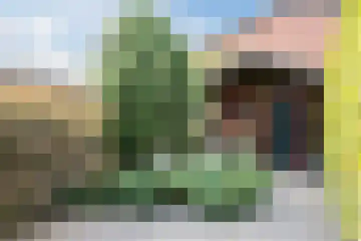 Abeelstraat 33 Echt thumbnail 21