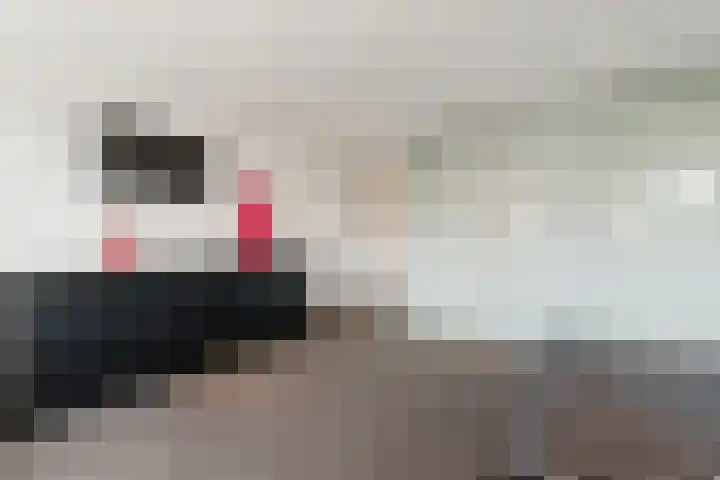 Abeelstraat 33 Echt thumbnail 29