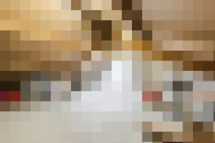 Abeelstraat 33 Echt thumbnail 36