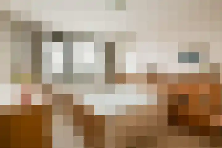 Abeelstraat 34 Dordrecht thumbnail 4