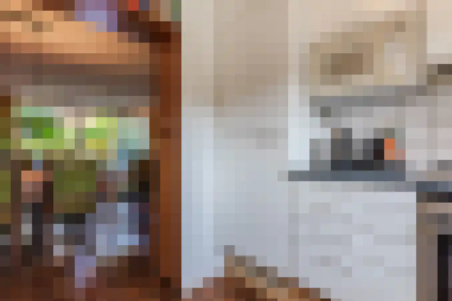 Abeelstraat 35 Echt thumbnail 17