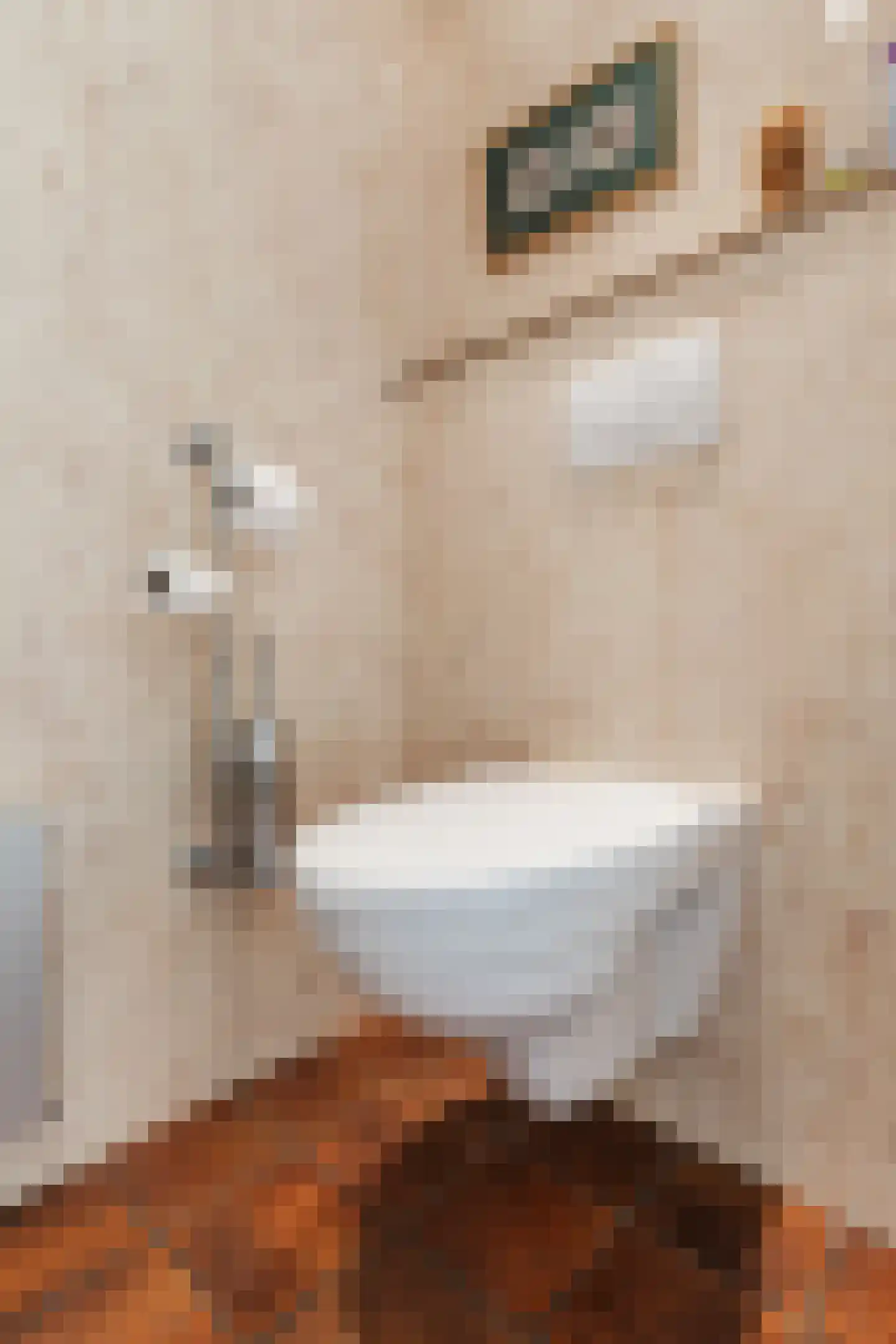 Abeelstraat 35 Echt thumbnail 21
