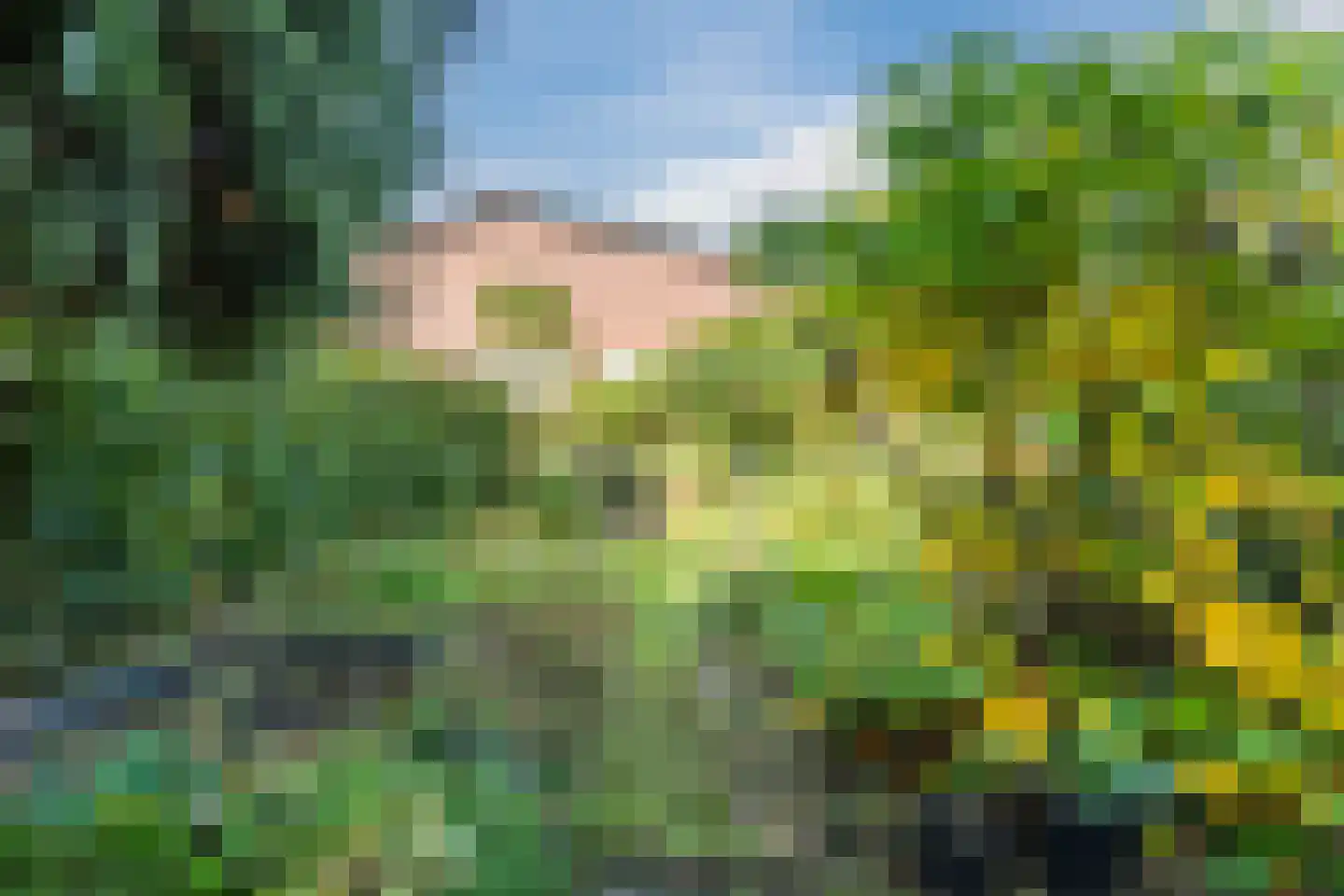 Abeelstraat 35 Echt thumbnail 40
