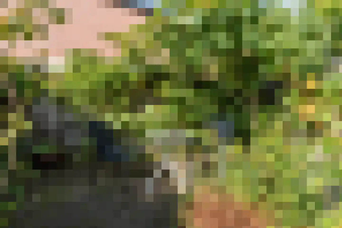 Abeelstraat 35 Echt thumbnail 42
