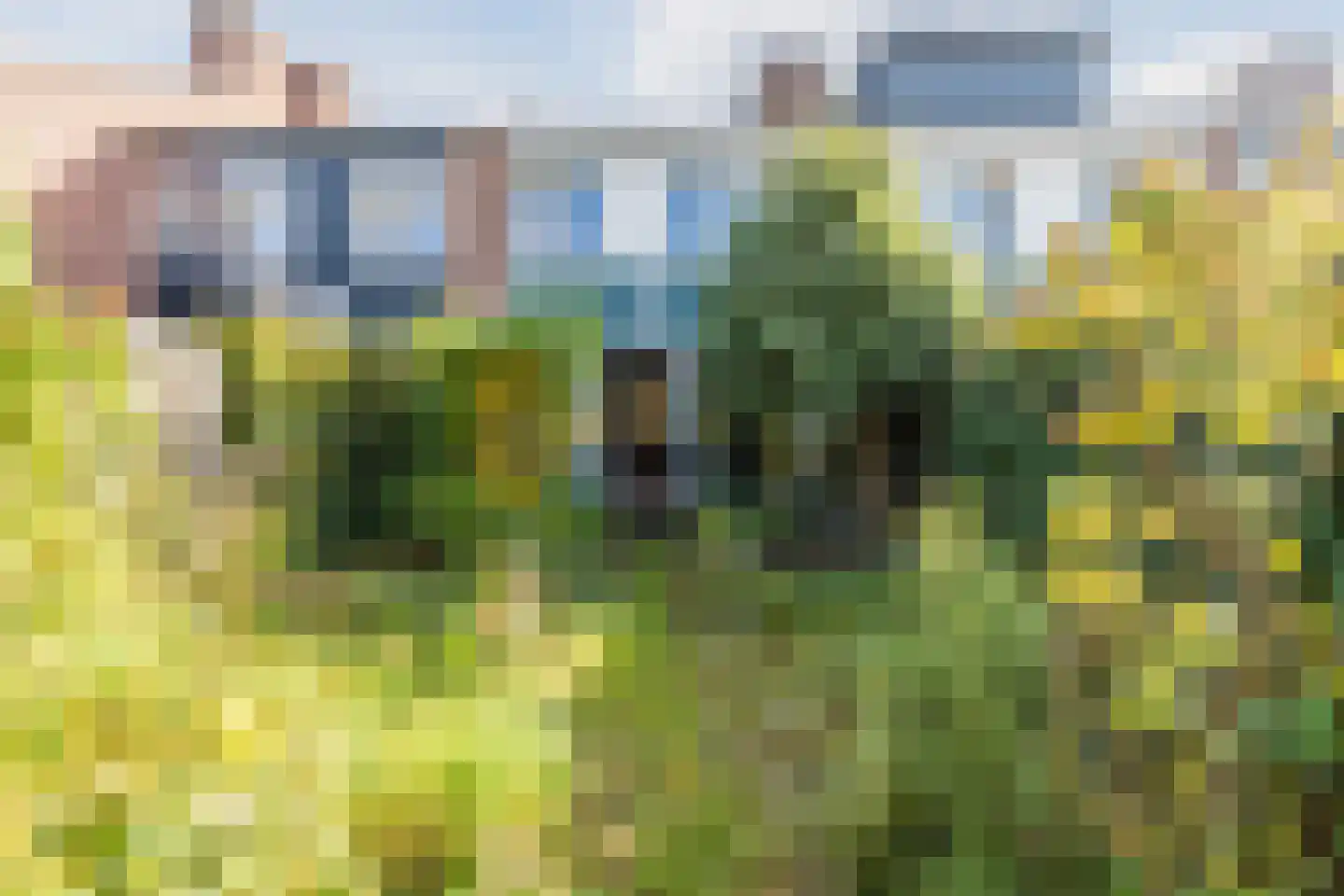 Abeelstraat 35 Echt thumbnail 43