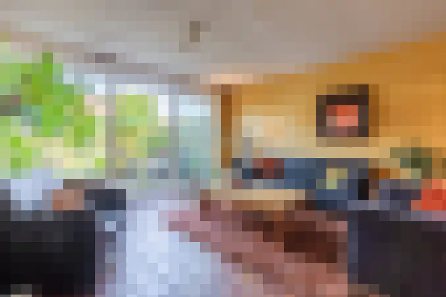 Abeelstraat 35 Echt thumbnail 9