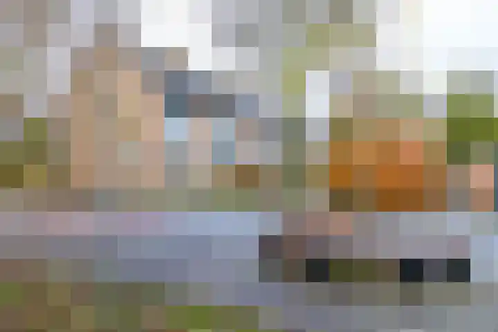Abeelstraat 36 Groningen thumbnail 37
