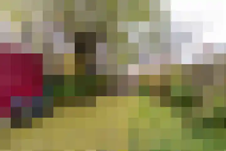 Abeelstraat 36 Groningen thumbnail 5