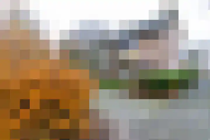 Abeelstraat 36 Groningen thumbnail 8