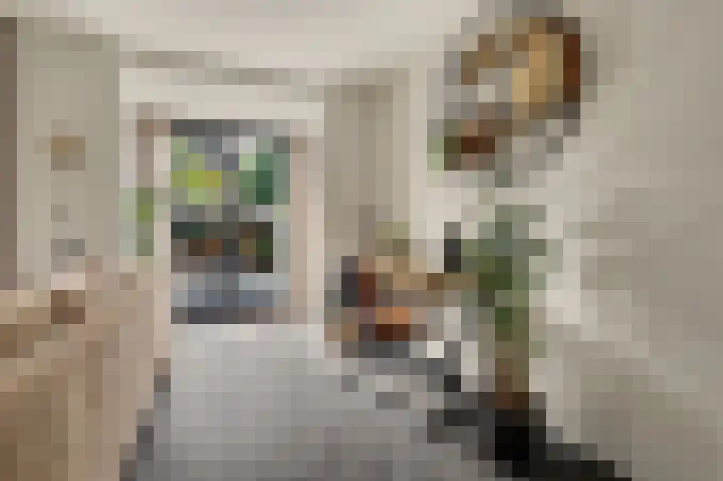 Abeelstraat 4 Made thumbnail 11