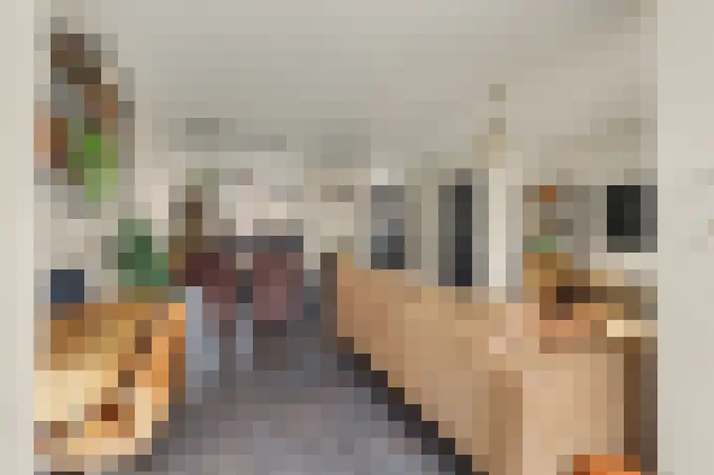 Abeelstraat 4 Made thumbnail 15