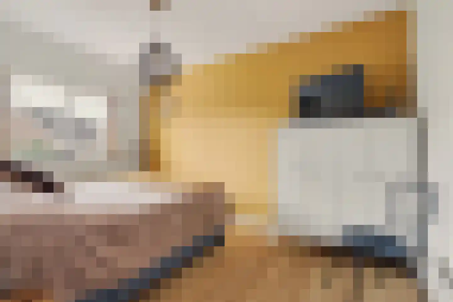 Abeelstraat 4 Made thumbnail 30