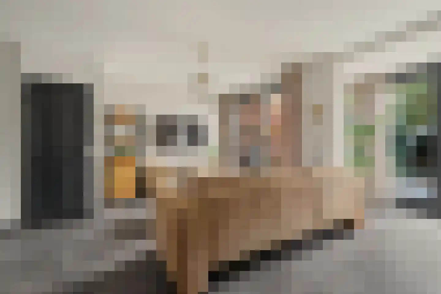 Abeelstraat 4 Made thumbnail 9