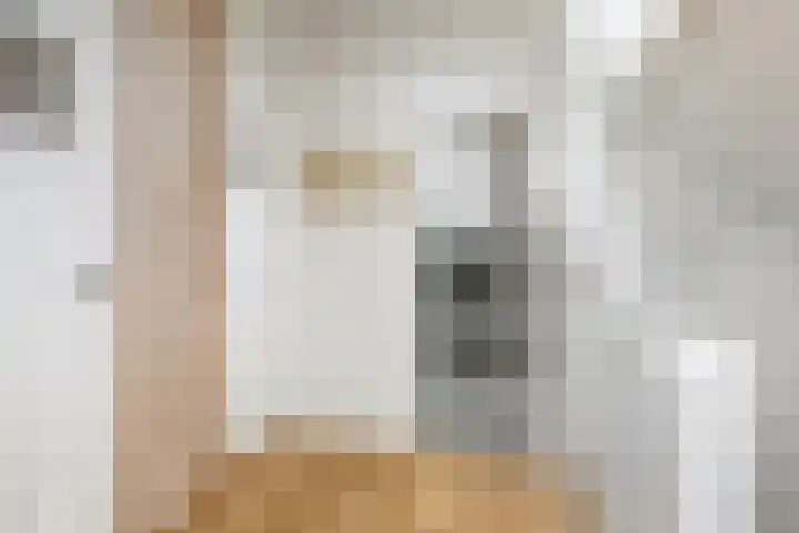 Abeelstraat 4 Utrecht thumbnail 22