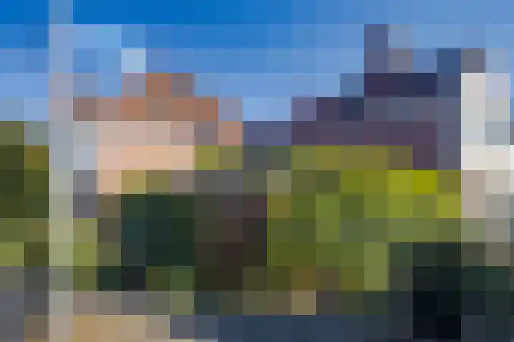 Abeelstraat 4 Utrecht thumbnail 39