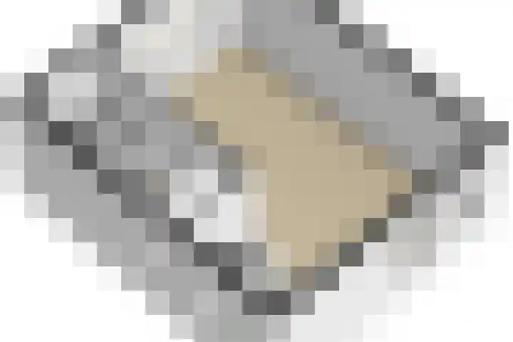 Abeelstraat 4 Utrecht thumbnail 42