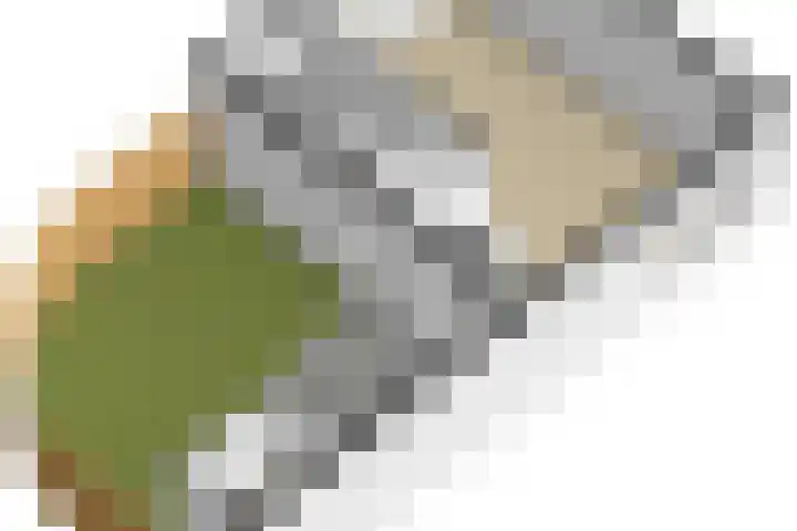 Abeelstraat 4 Utrecht thumbnail 44
