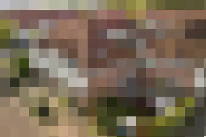 Abeelstraat 4 Utrecht thumbnail 6