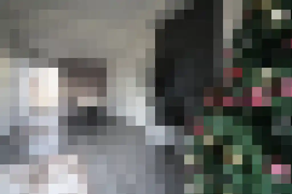 Abeelstraat 6 Bergen op Zoom thumbnail 6