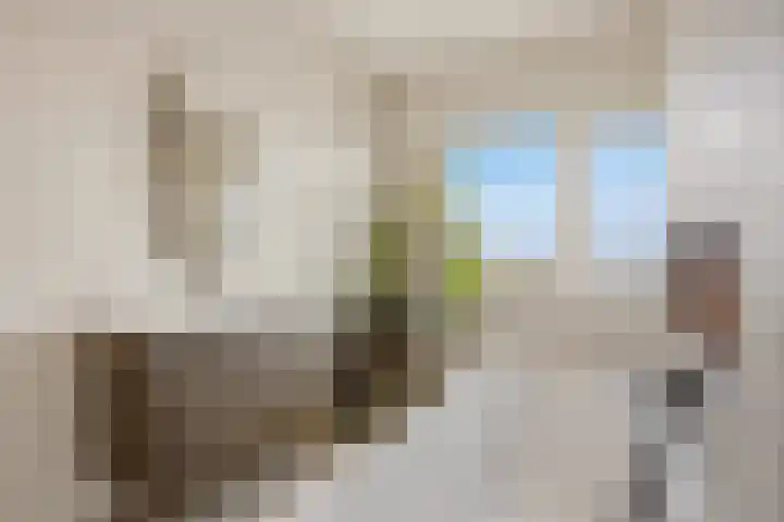 Abeelstraat 66 Breda thumbnail 38