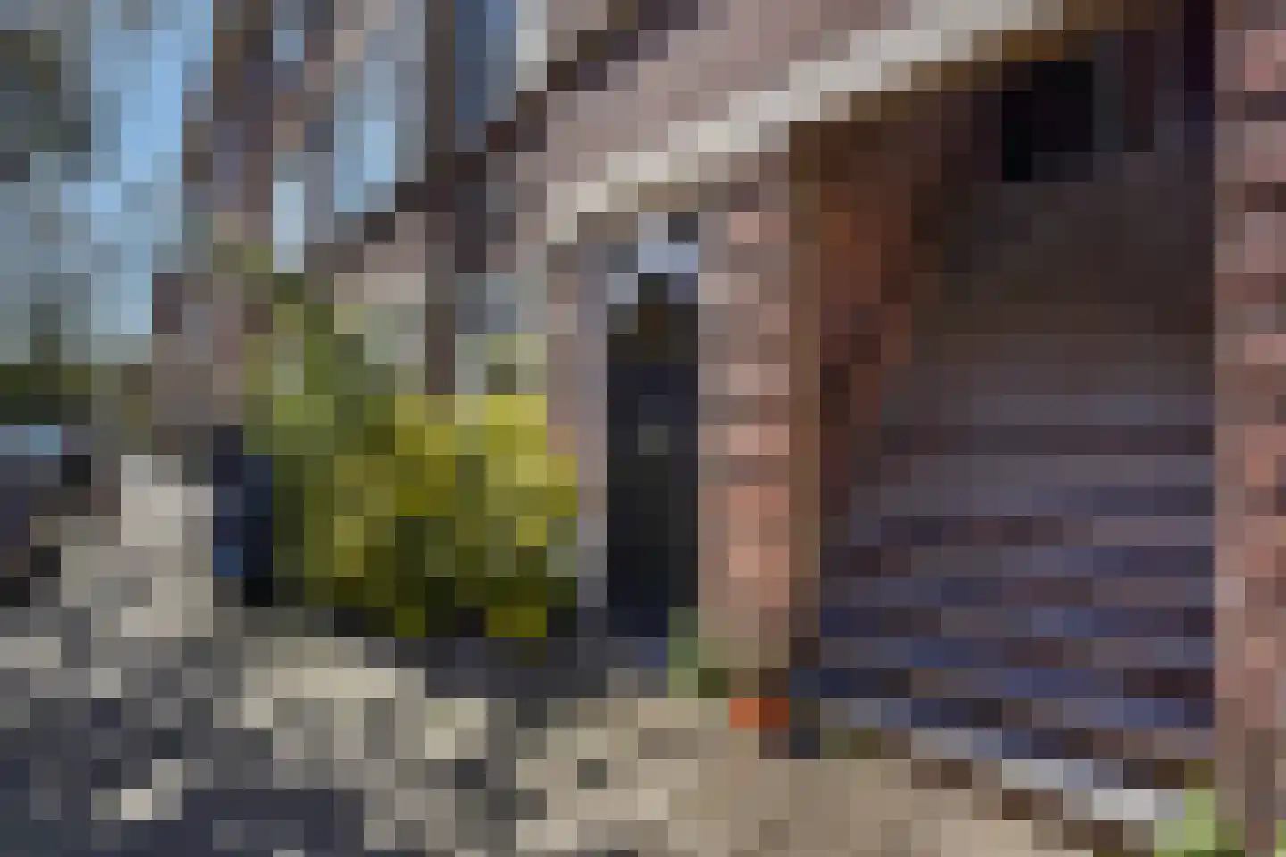 Abeelstraat 67 Den Haag thumbnail 5