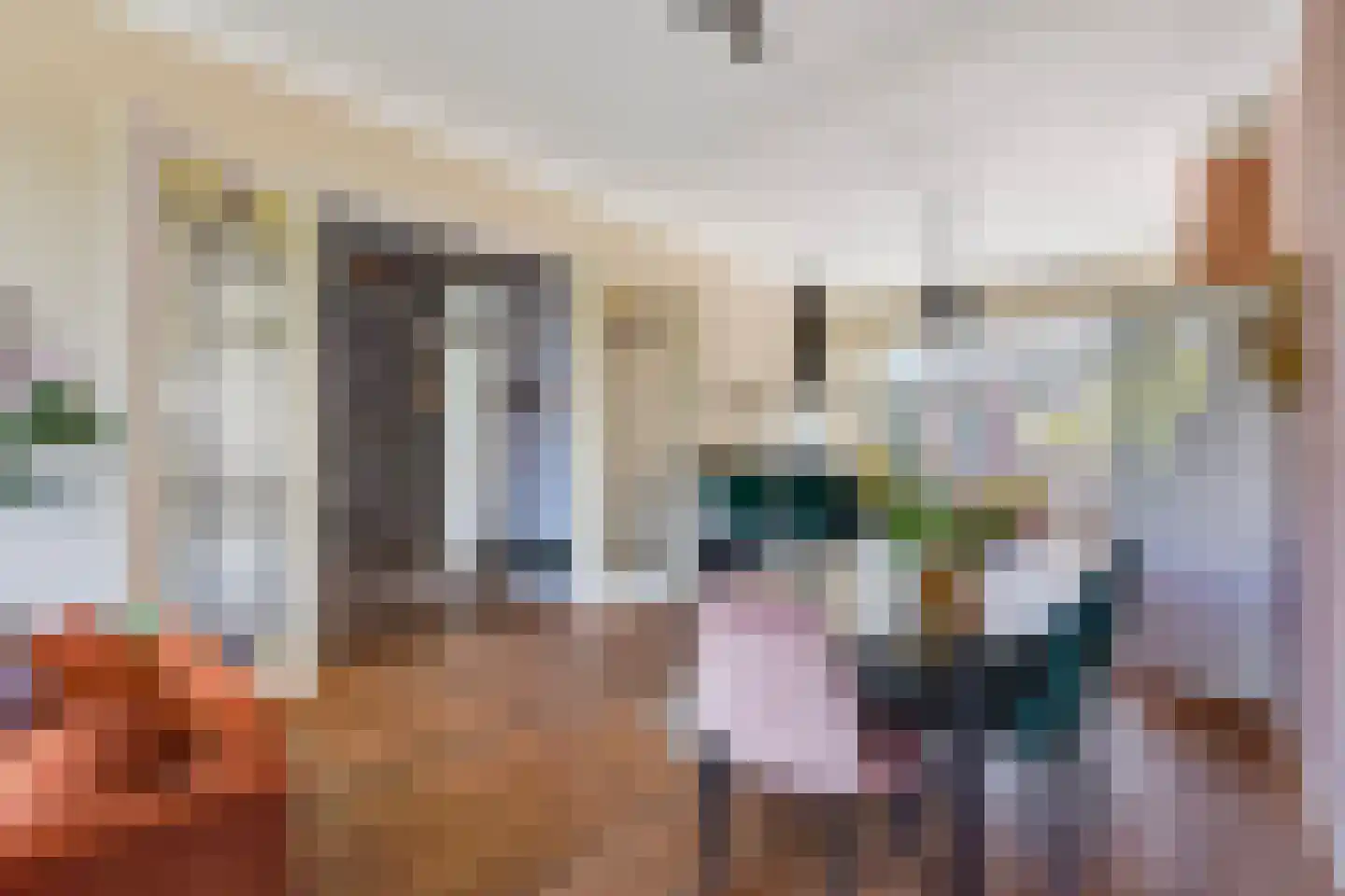 Abeelstraat 69 Den Haag thumbnail 9