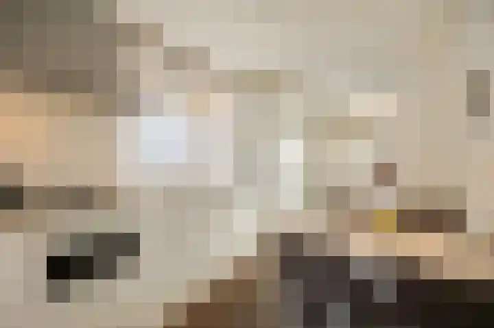 Abeelstraat 8 Echt thumbnail 19
