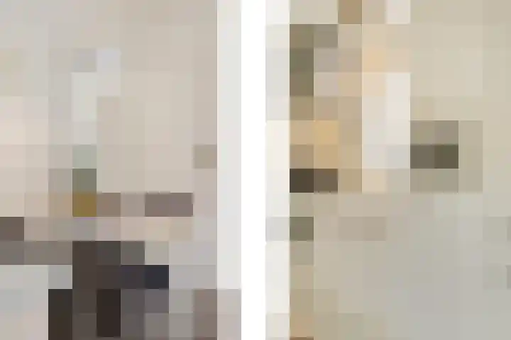 Abeelstraat 8 Echt thumbnail 20