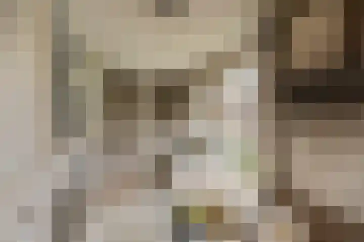 Abeelstraat 8 Echt thumbnail 23