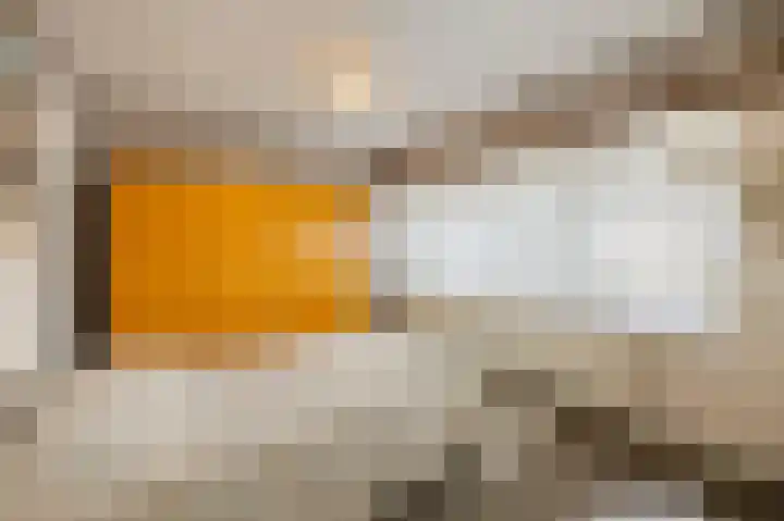 Abeelstraat 8 Echt thumbnail 26