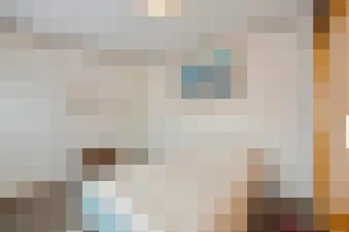 Abeelstraat 8 Echt thumbnail 27