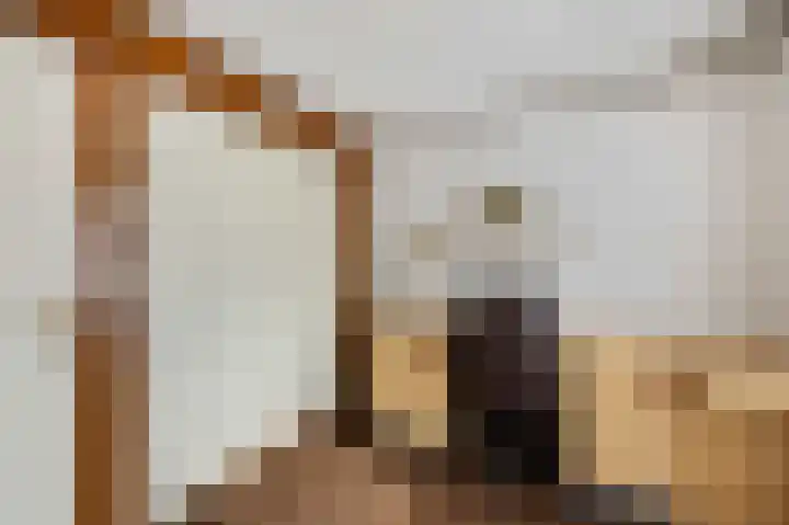 Abeelstraat 8 Echt thumbnail 29